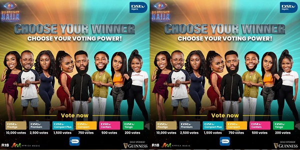 Vote for the WINNER of The BBNaija No Loose Guard